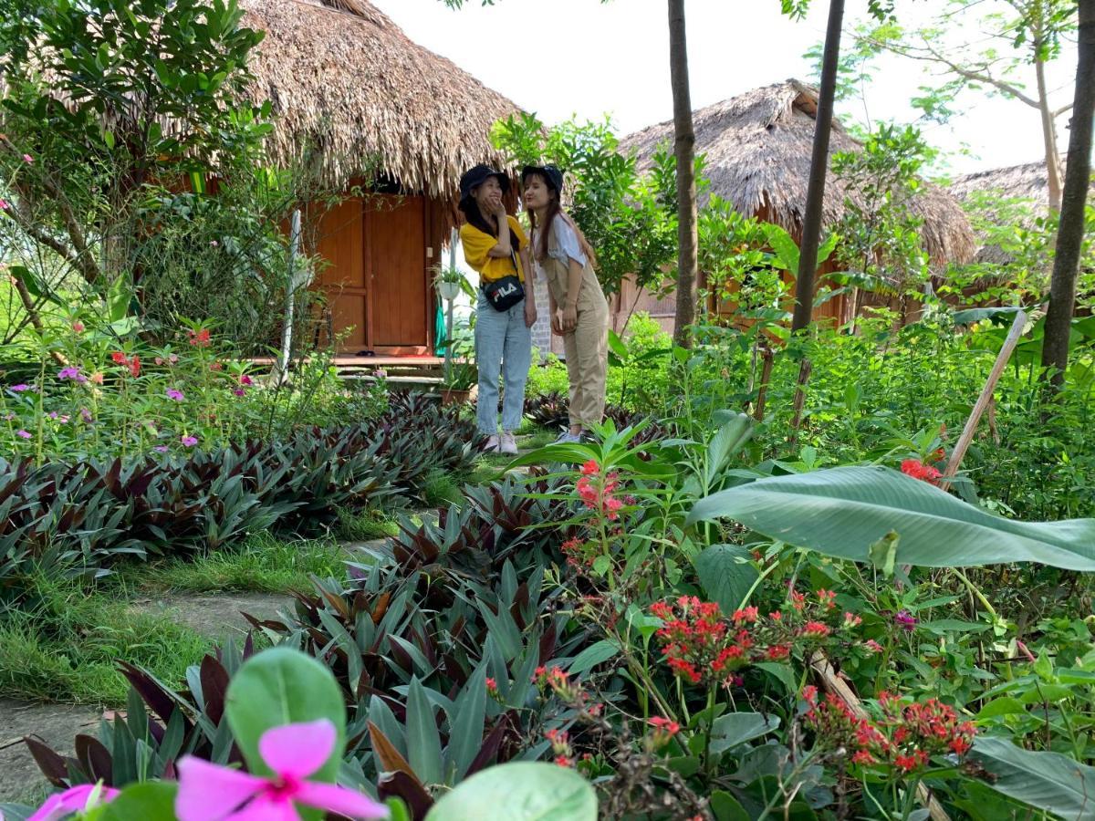 Cuc Phuong Bungalow Nho Quan ภายนอก รูปภาพ
