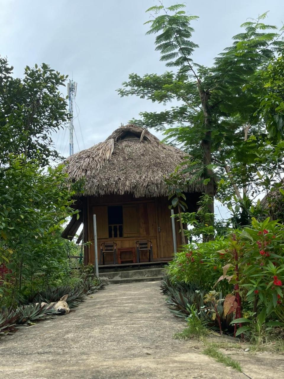 Cuc Phuong Bungalow Nho Quan ภายนอก รูปภาพ